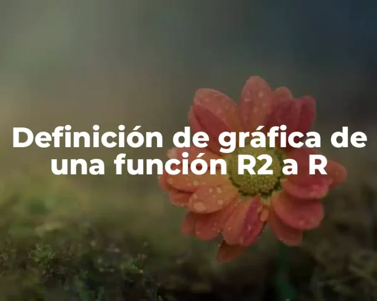 Definición de gráfica de una función R2 a R