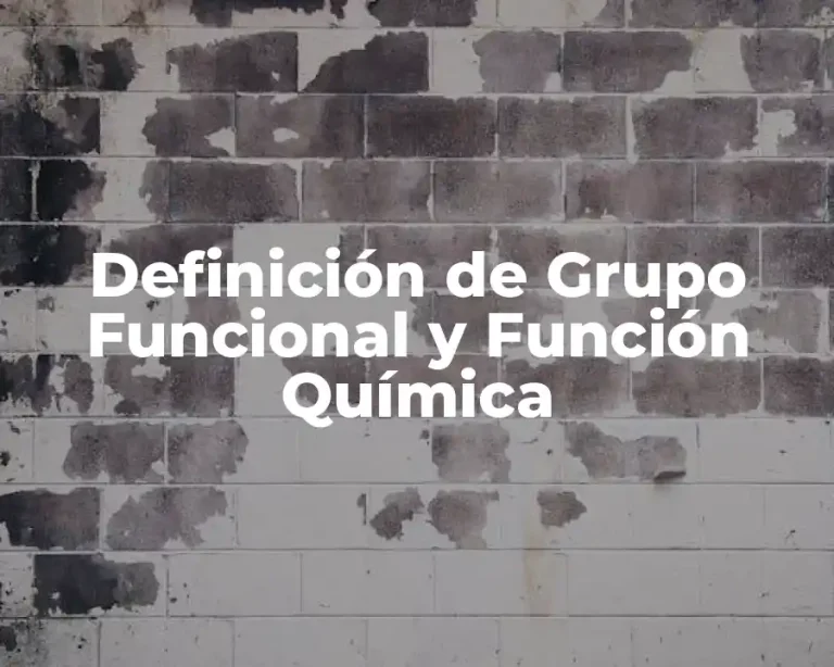 Definición de Grupo Funcional y Función Química
