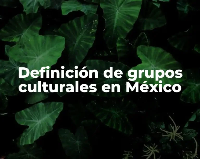 Definición de grupos culturales en México