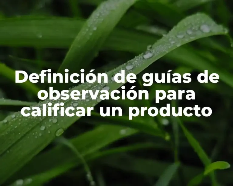 Definición de guías de observación para calificar un producto
