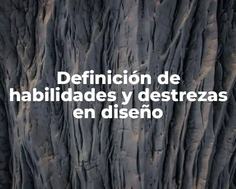 Definición de habilidades y destrezas en diseño