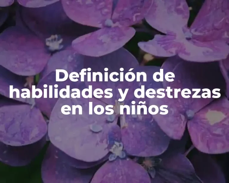 Definición de habilidades y destrezas en los niños