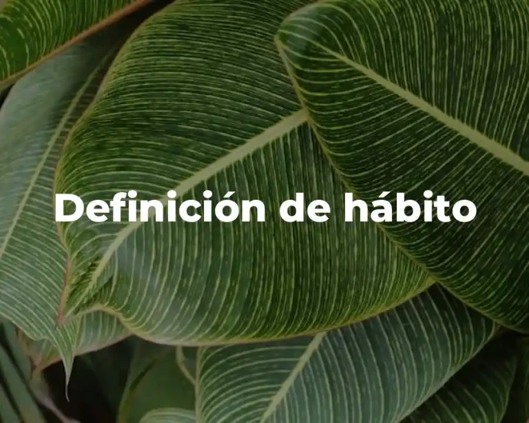 Definición de hábito