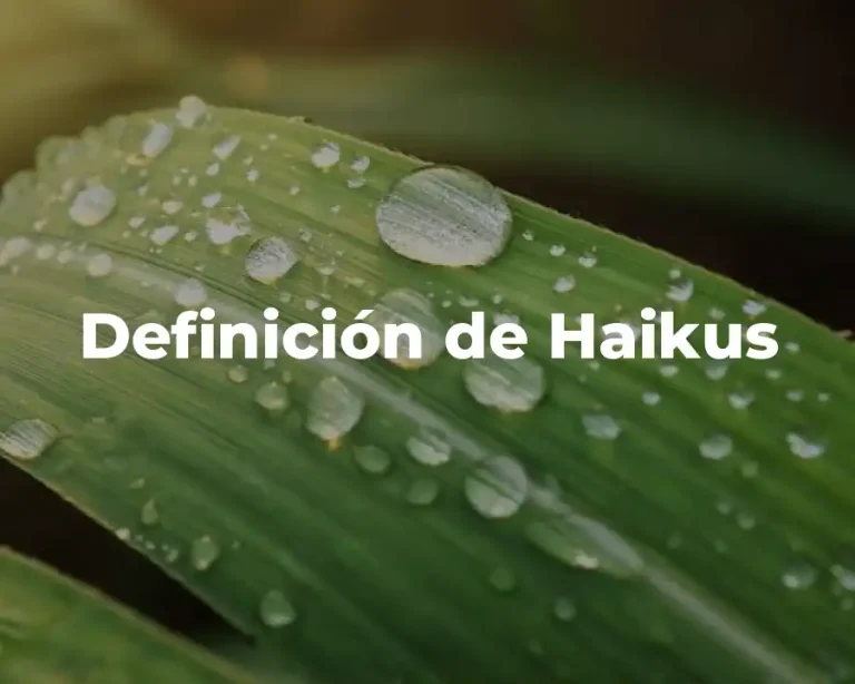 Definición de Haikus