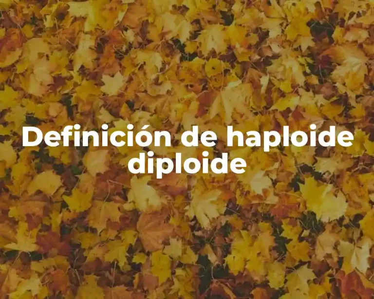 Definición de haploide diploide
