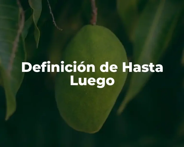 Definición de Hasta Luego
