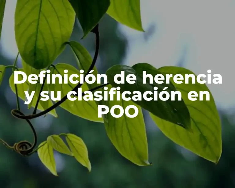 Definición de herencia y su clasificación en POO