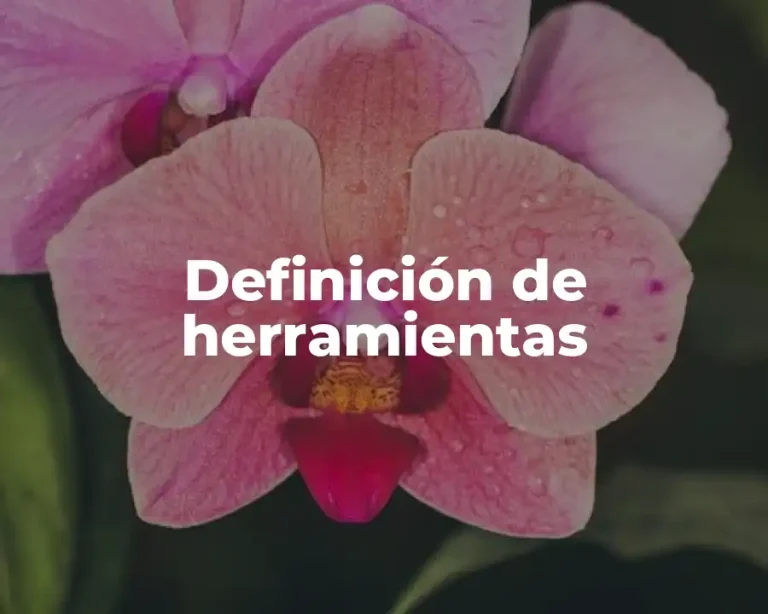 Definición de herramientas