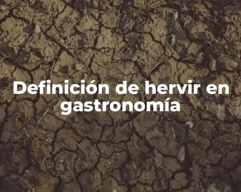 Definición de hervir en gastronomía