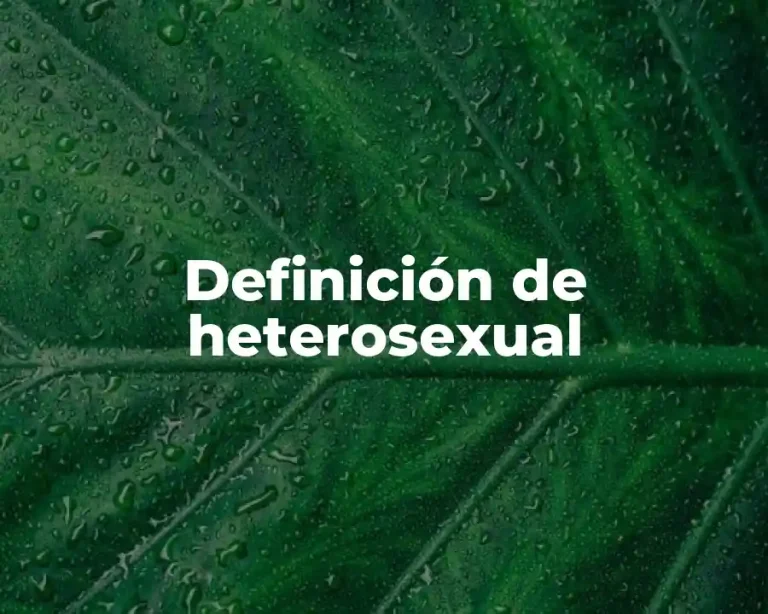 Definición de heterosexual