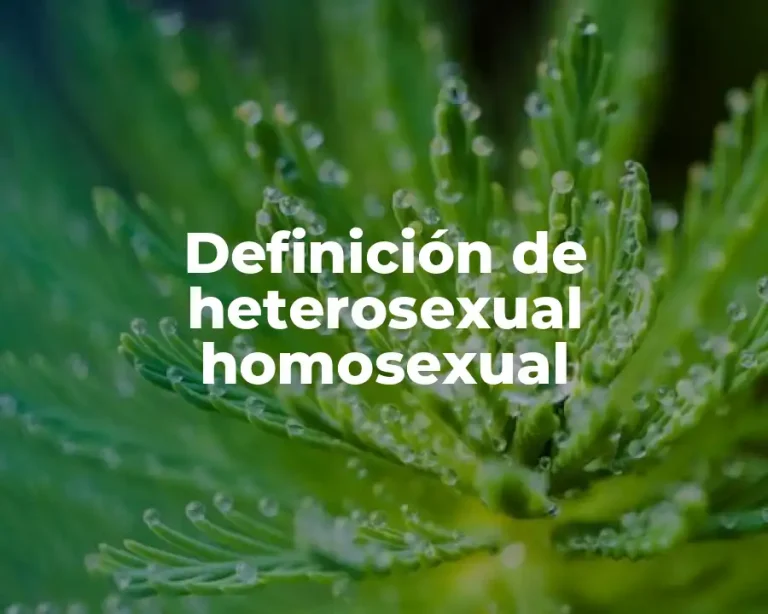 Definición de heterosexual homosexual