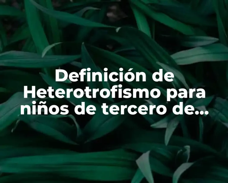 Definición de Heterotrofismo para niños de tercero de primaria