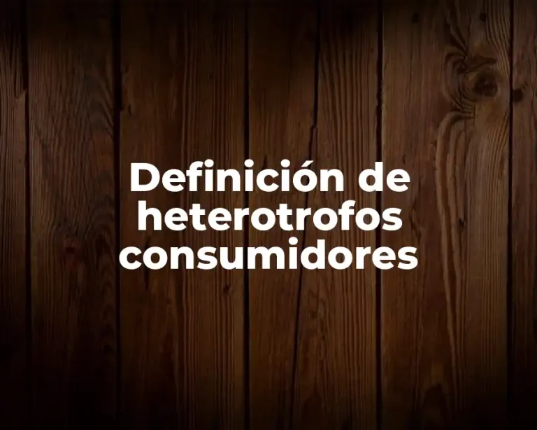 Definición de heterotrofos consumidores