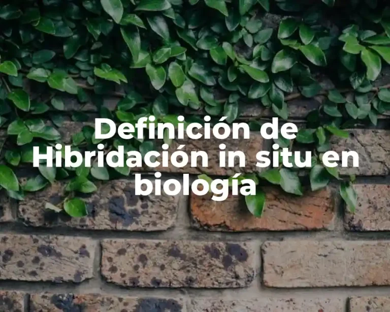 Definición de Hibridación in situ en biología