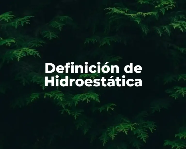 Definición de Hidroestática