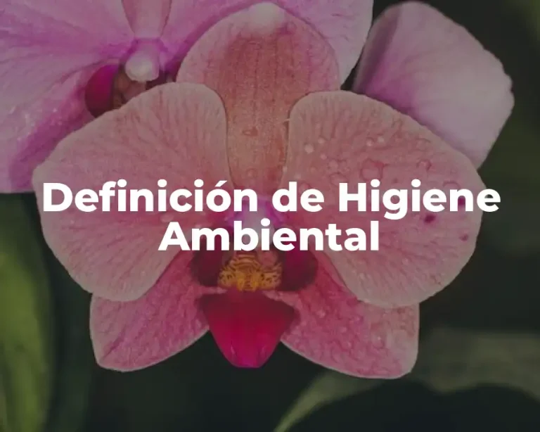 Definición de Higiene Ambiental