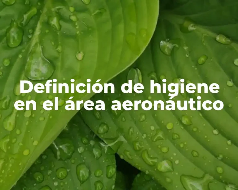 Definición de higiene en el área aeronáutico