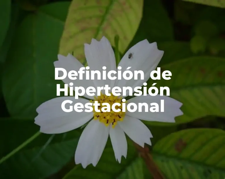 Definición de Hipertensión Gestacional