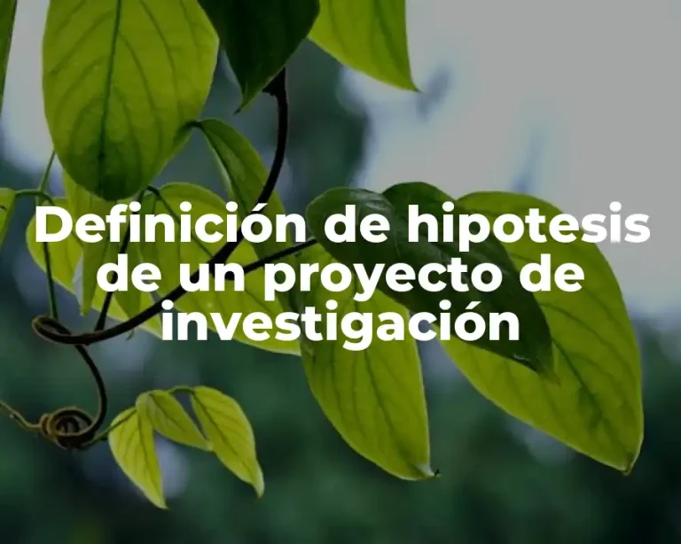 Definición de hipotesis de un proyecto de investigación