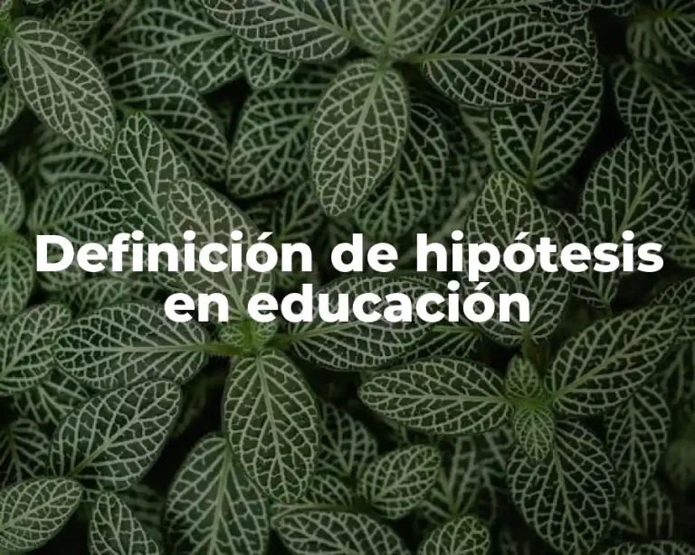 Definición de hipótesis en educación
