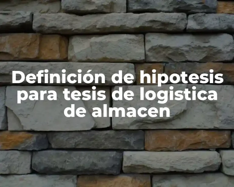 Definición de hipotesis para tesis de logistica de almacen