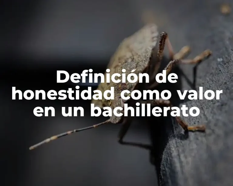 Definición de honestidad como valor en un bachillerato