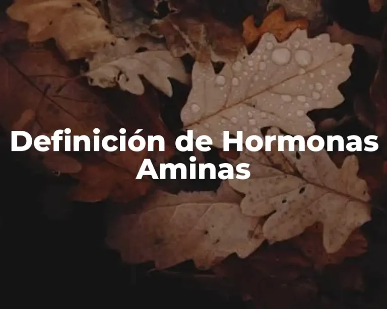 Definición de Hormonas Aminas