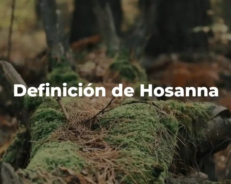 Definición de Hosanna