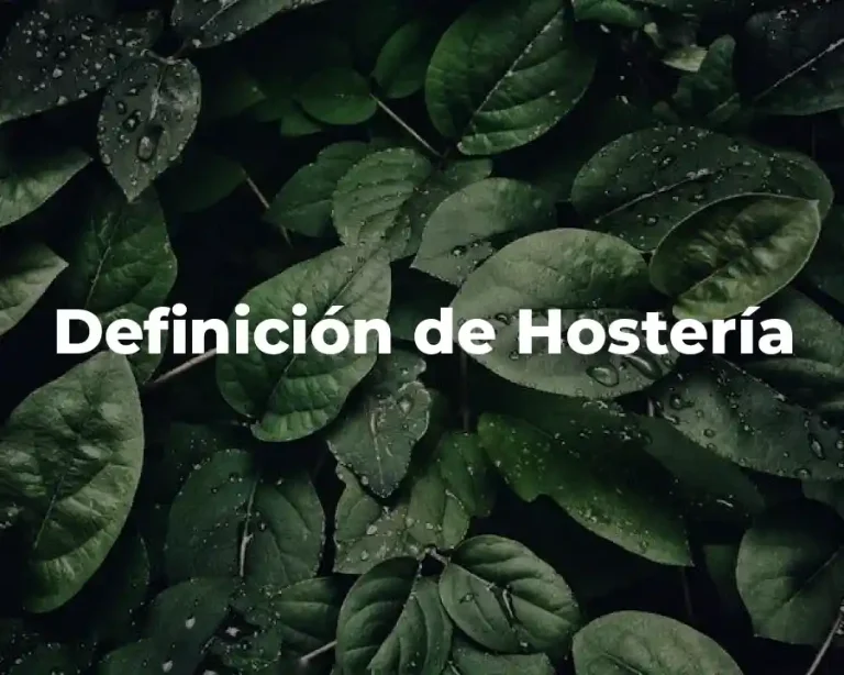 Definición de Hostería
