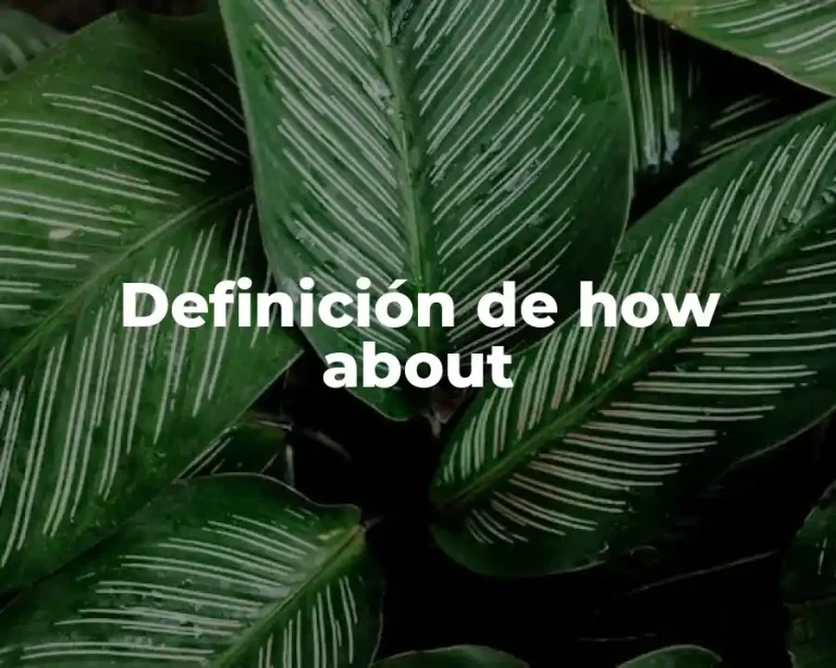 Definición de how about