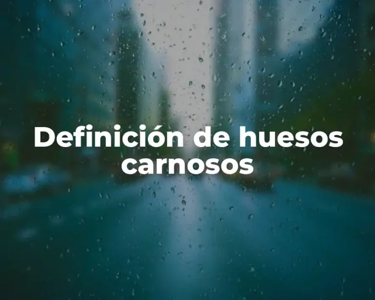 Definición de huesos carnosos