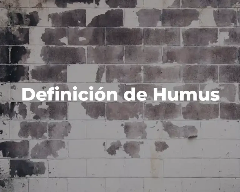 Definición de Humus