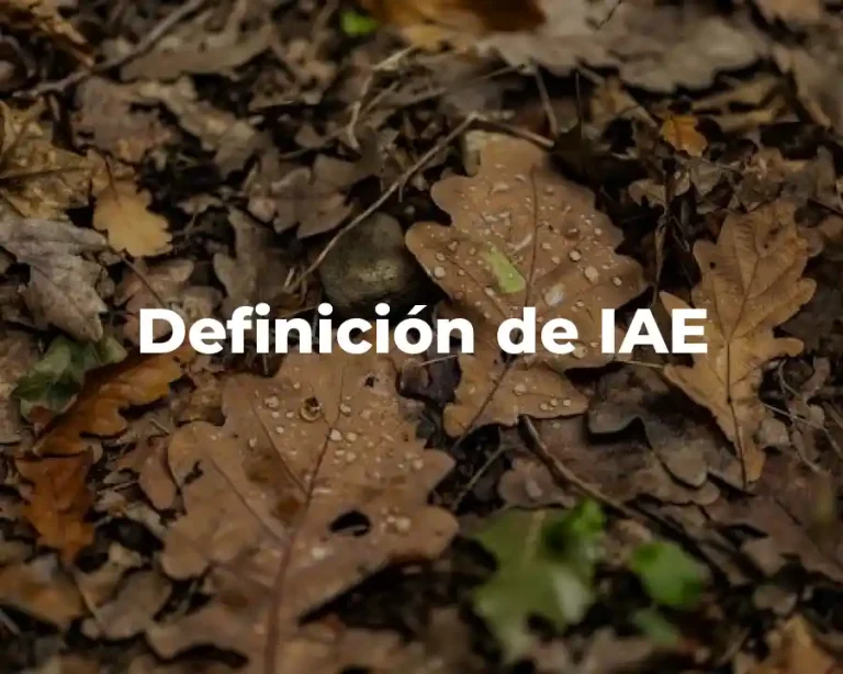 Definición de IAE