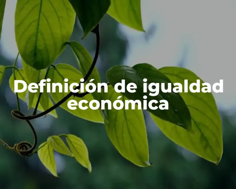 Definición de igualdad económica