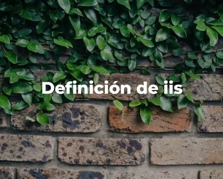 Definición de iis