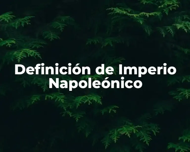 Definición de Imperio Napoleónico