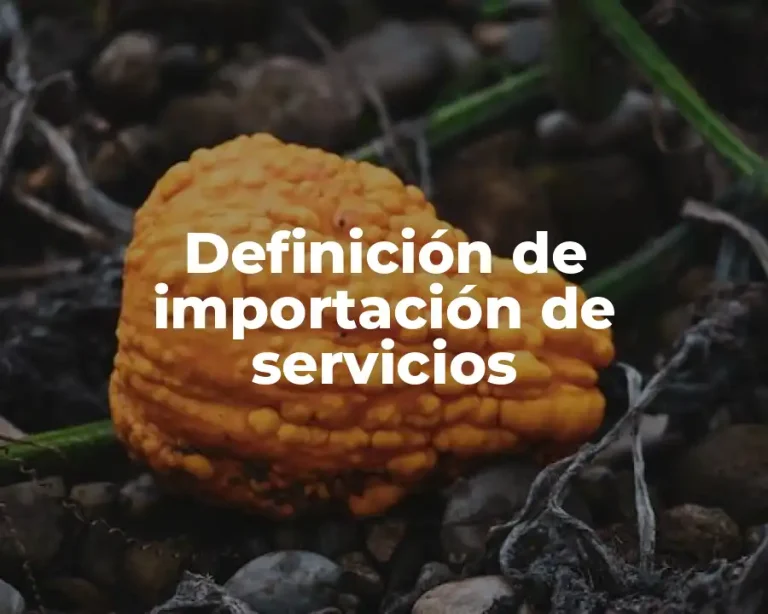 Definición de importación de servicios