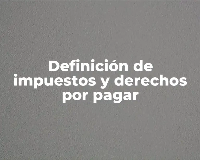 Definición de impuestos y derechos por pagar