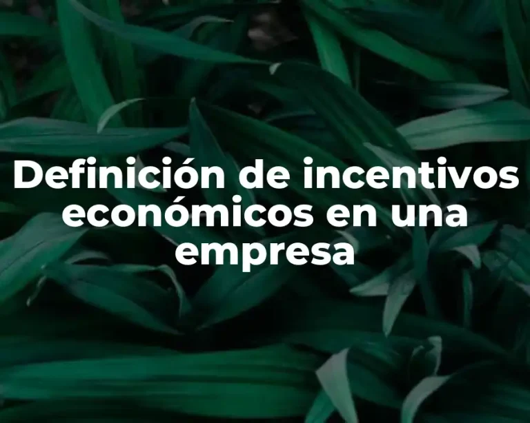 Definición de incentivos económicos en una empresa