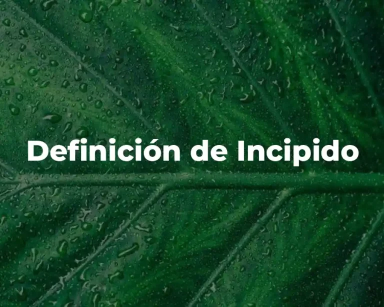 Definición de Incipido