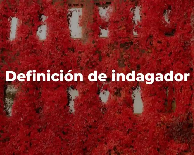 Definición de indagador