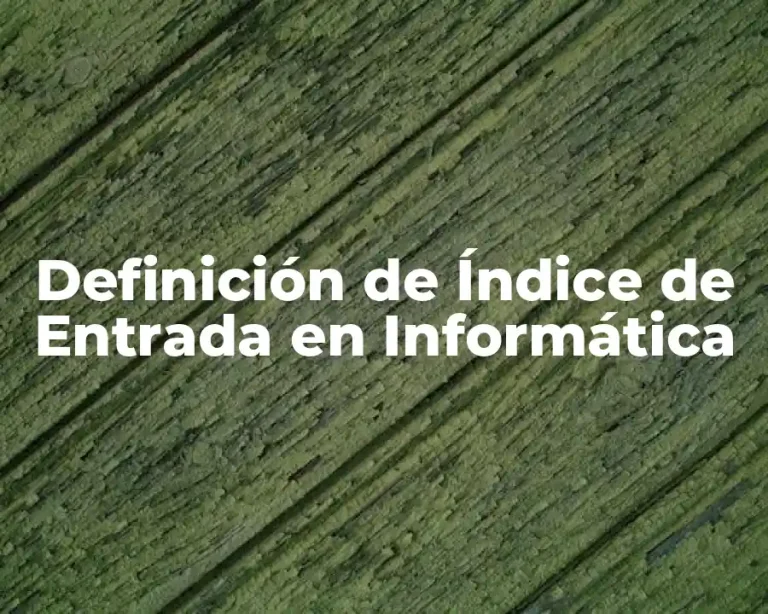 Definición de Índice de Entrada en Informática