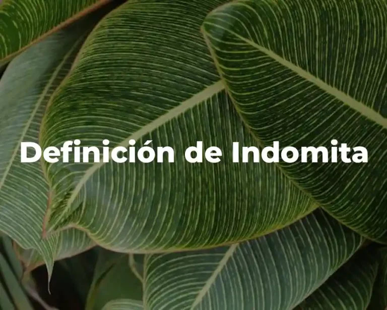 Definición de Indomita