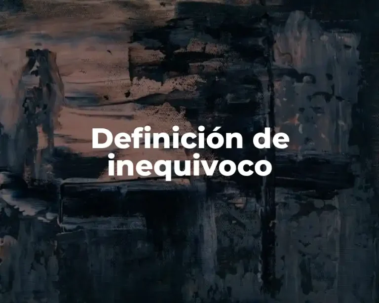 Definición de inequivoco