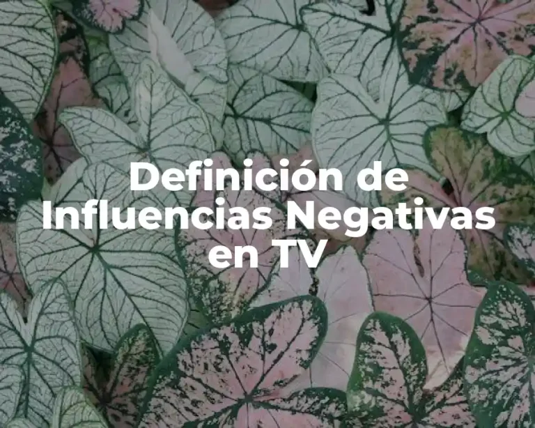 Definición de Influencias Negativas en TV
