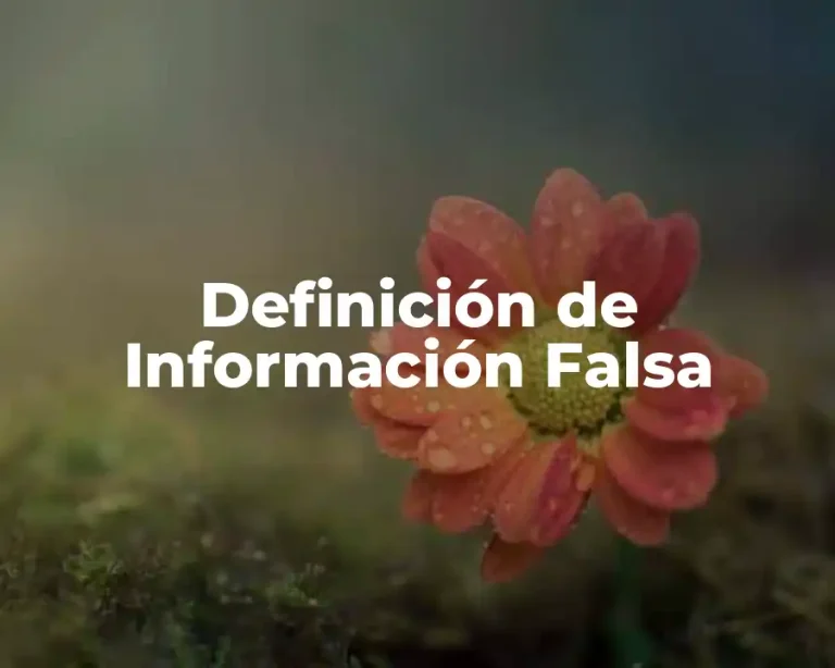 Definición de Información Falsa