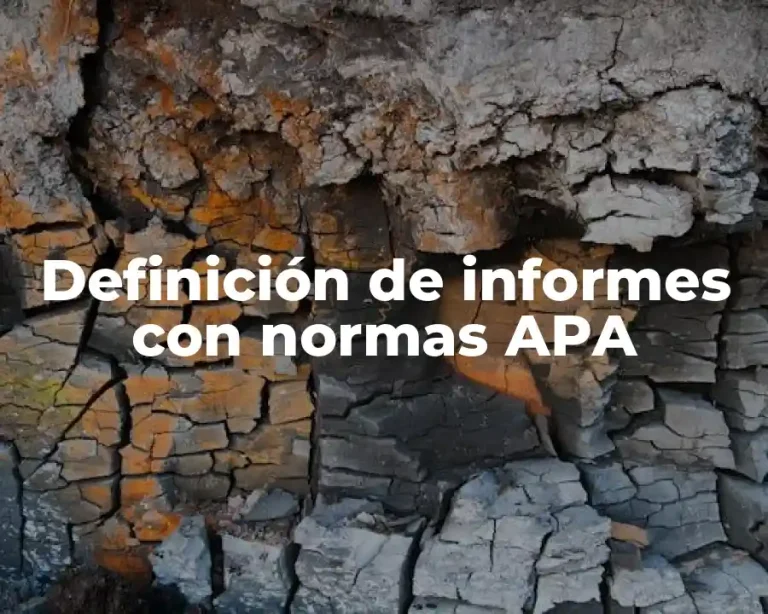 Definición de informes con normas APA