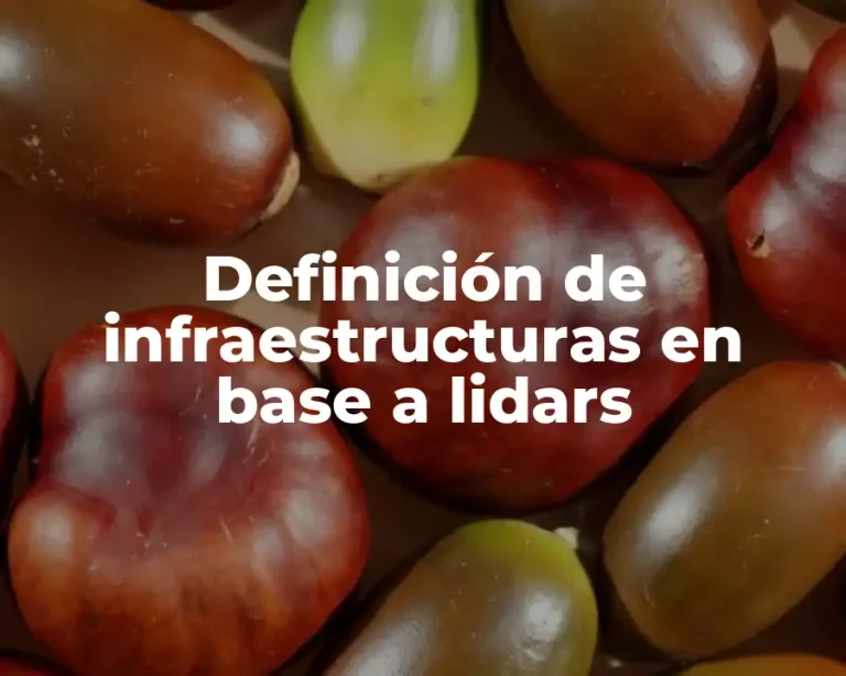 Definición de infraestructuras en base a lidars