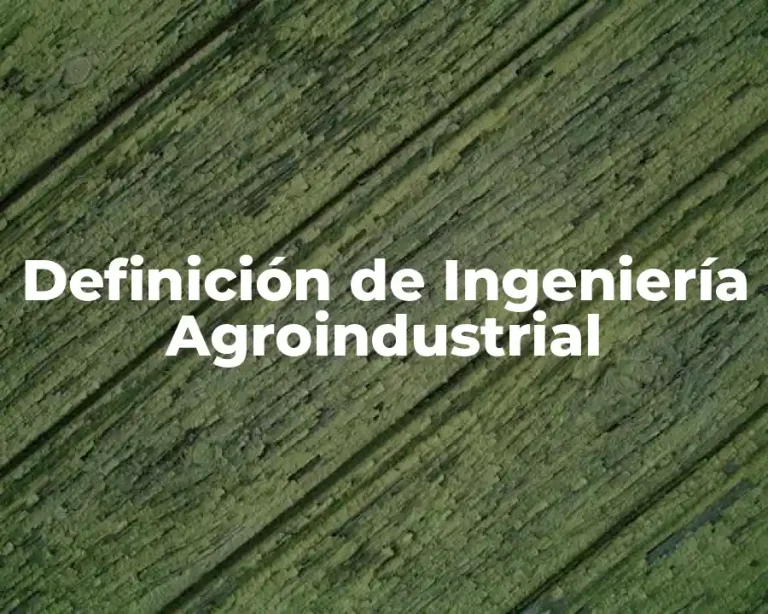 Definición de Ingeniería Agroindustrial