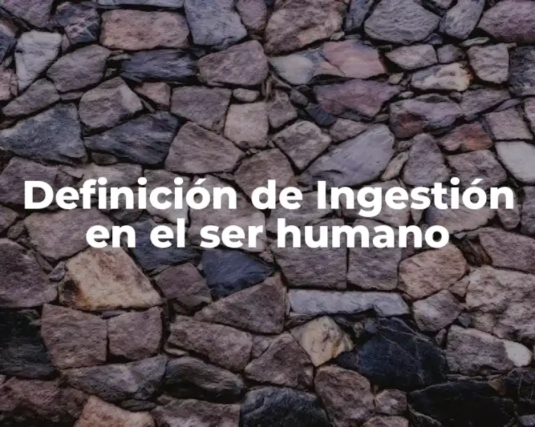 Definición de Ingestión en el ser humano